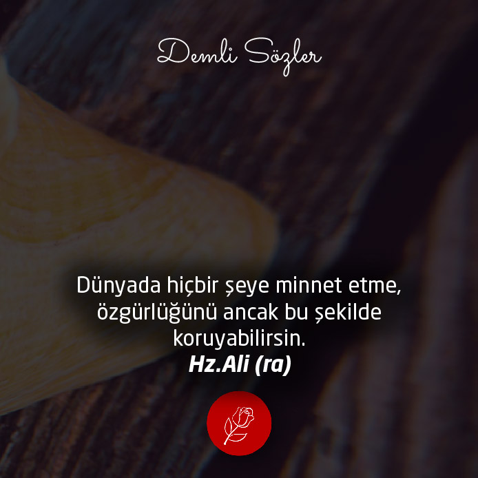 Dünyada hiçbir şeye minnet etme, özgürlüğünü ancak bu şekilde koruyabilirsin.