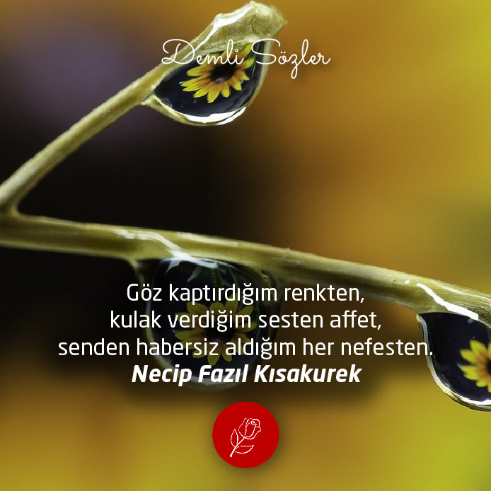 Göz kaptırdığım renkten, kulak verdiğim sesten affet, senden habersiz aldığım her nefesten.