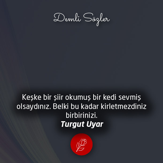 Keşke bir şiir okumuş, bir kedi sevmiş olsaydınız. Belki bu kadar kirletmezdiniz birbirinizi.