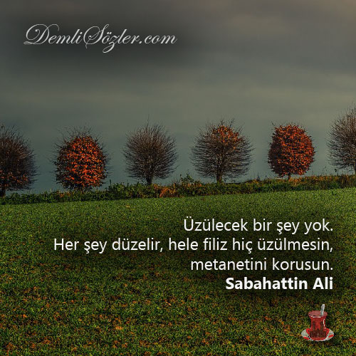 Üzülecek bir şey yok. Her şey düzelir, hele filiz hiç üzülmesin, metanetini korusun.
