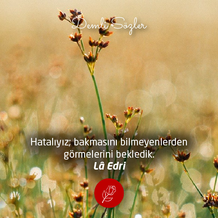 Hatalıyız; bakmasını bilmeyenlerden görmelerini bekledik.