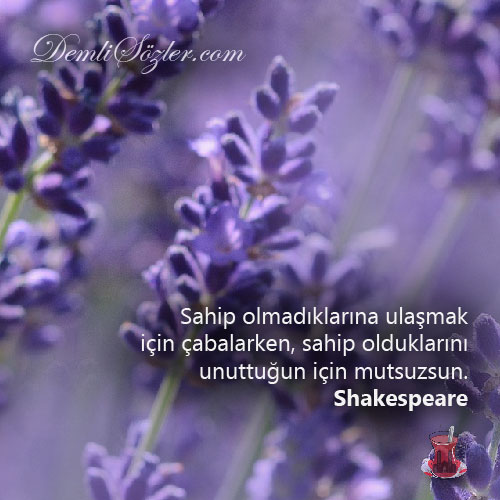 Sahip olmadıklarına ulaşmak için çabalarken, sahip olduklarını unuttuğun için mutsuzsun.