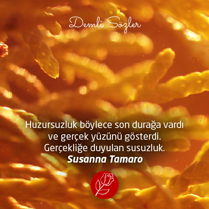 Huzursuzluk böylece son durağa vardı ve gerçek yüzünü gösterdi. Gerçekliğe duyulan susuzluk.