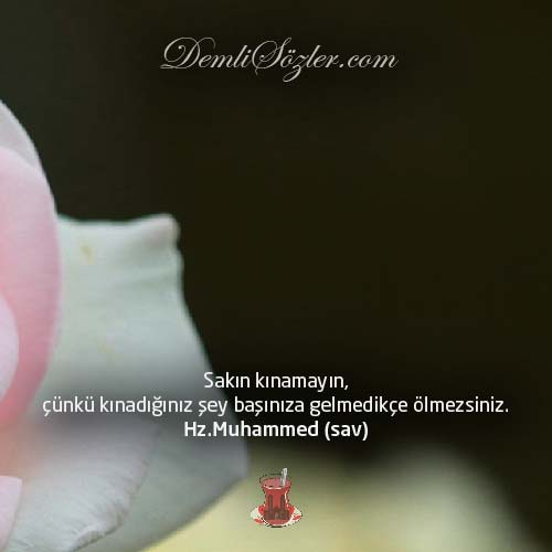 Sakın kınamayın, çünkü kınadığınız şey başınıza gelmedikçe ölmezsiniz.