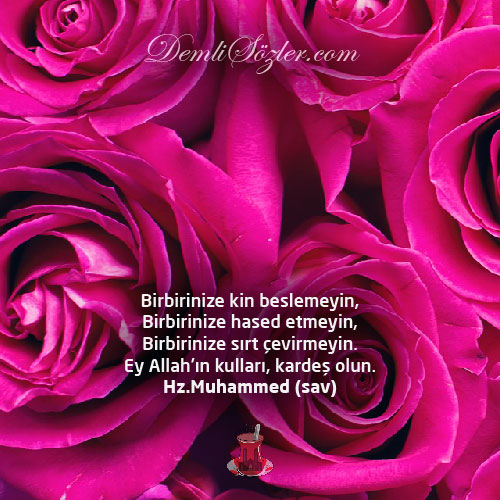 Birbirinize kin beslemeyin, birbirinize hased etmeyin, birbirinize sırt çevirmeyin. Ey Allah'ın kulları, kardeş olun.