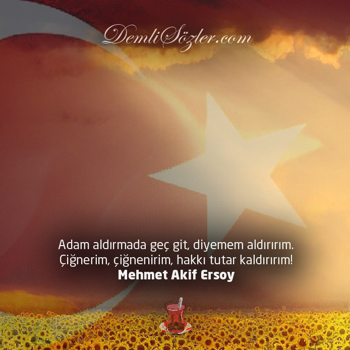 Adam aldırmada geç git, diyemem aldırırım.
Çiğnerim, çiğnenirim, hakkı tutar kaldırırım!