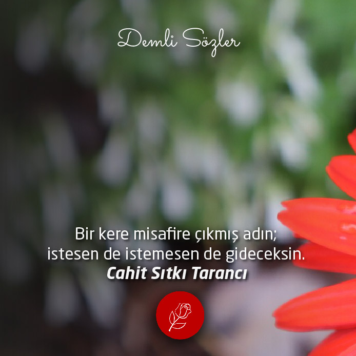 Bir kere misafire çıkmış adın; İstesen de istemesen de gideceksin.