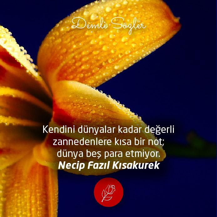 Kendini dünyalar kadar değerli zannedenlere kısa bir not; dünya beş para etmiyor.