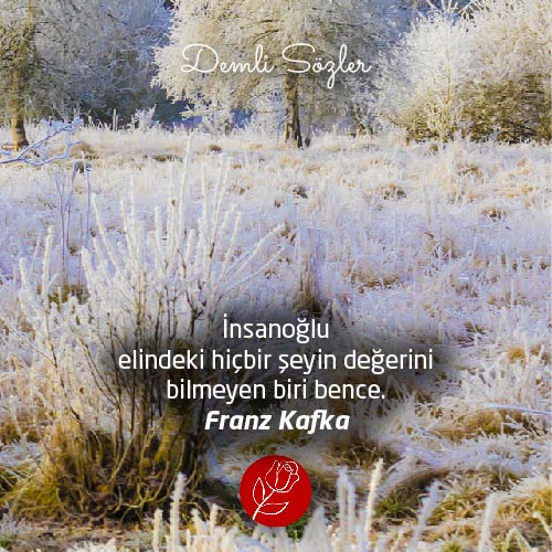 İnsanoğlu elindeki hiçbir şeyin değerini bilmeyen biri bence.