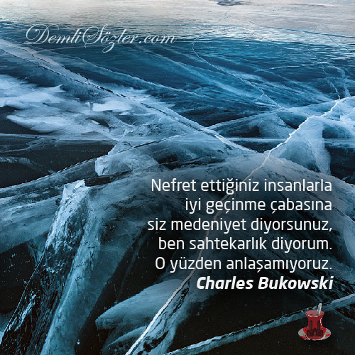 Nefret ettiğiniz insanlarla iyi geçinme çabasına siz medeniyet diyorsunuz, ben sahtekarlık diyorum. O yüzden anlaşamıyoruz.