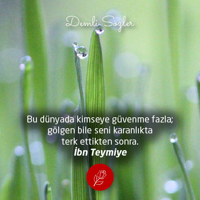 Bu dünyada kimseye güvenme fazla; gölgen bile seni karanlıkta terk ettikten sonra.