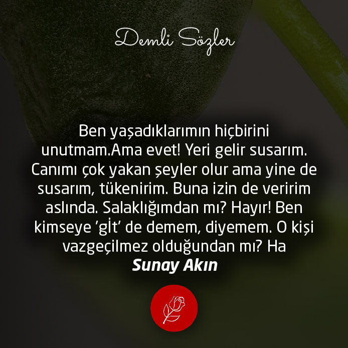 Ben yaşadıklarımın hiçbirini unutmam.Ama evet! Yeri gelir susarım. Canımı çok yakan şeyler olur ama yinede susarım, tükenirim. Buna izin de veririm aslında. Salaklığımdan mı? Hayır! Ben kimseye 'gİt' de demem, diyemem. O kişi vazgeçilmez olduğundan mı? Ha
