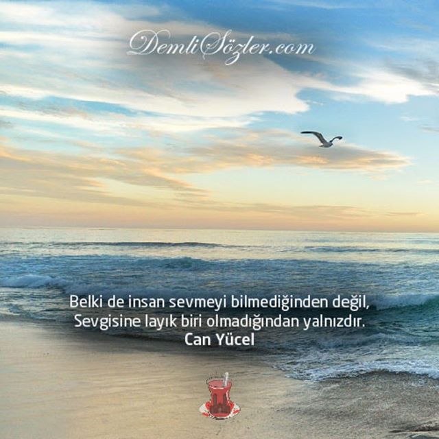Belki de insan sevmeyi bilmediğinden değil, sevgisine layık biri olmadığından yalnızdır.