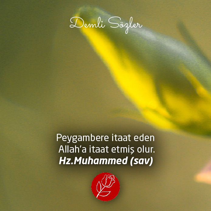 Peygambere itaat eden Allah'a itaat etmiş olur.