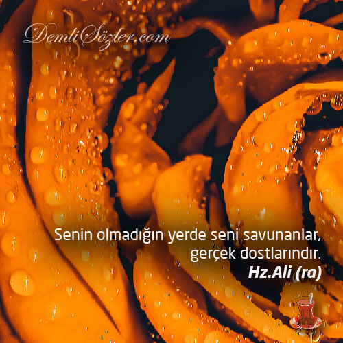 Senin olmadığın yerde seni savunanlar, gerçek dostlarındır.