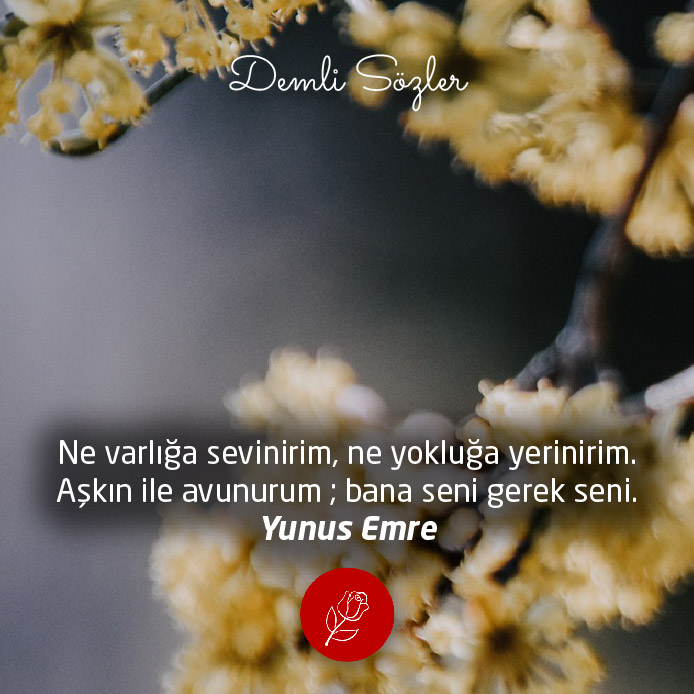 Ne varlığa sevinirim, ne yokluğa yerinirim. Aşkın ile avunurum ; bana seni gerek seni.