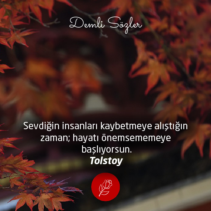 Sevdiğin insanları kaybetmeye alıştığın zaman; hayatı önemsememeye başlıyorsun.
