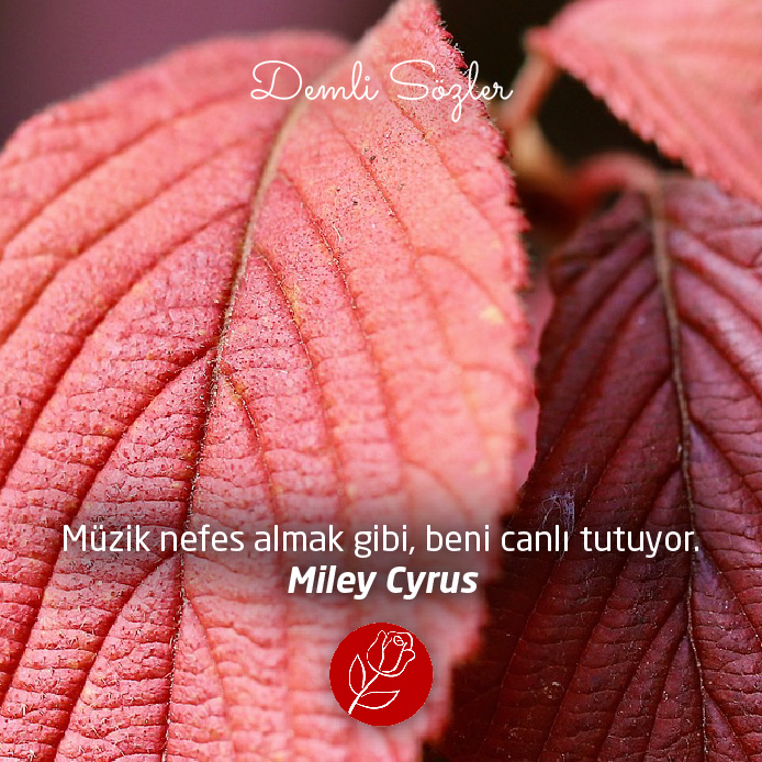 Müzik nefes almak gibi, beni canlı tutuyor.