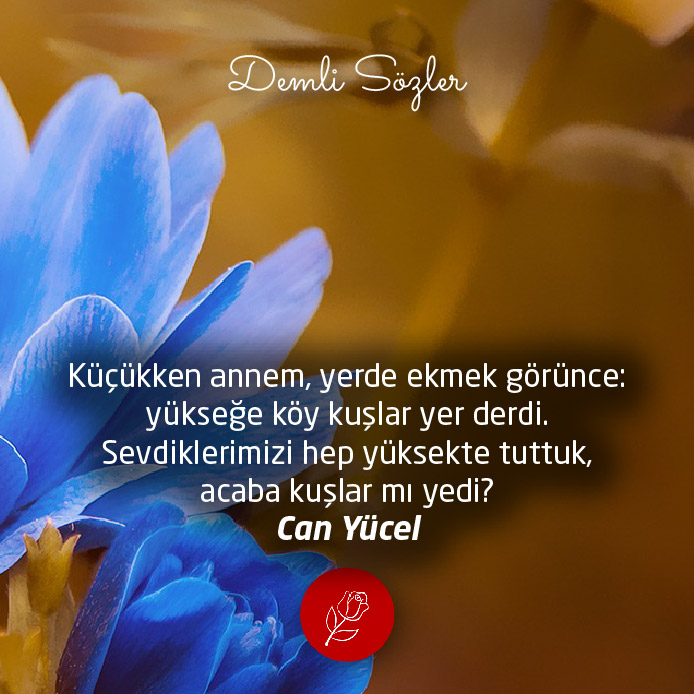 Küçükken annem, yerde ekmek görünce: yükseğe köy kuşlar yer derdi. Sevdiklerimizi hep yüksekte tuttuk, acaba kuşlar mı yedi?