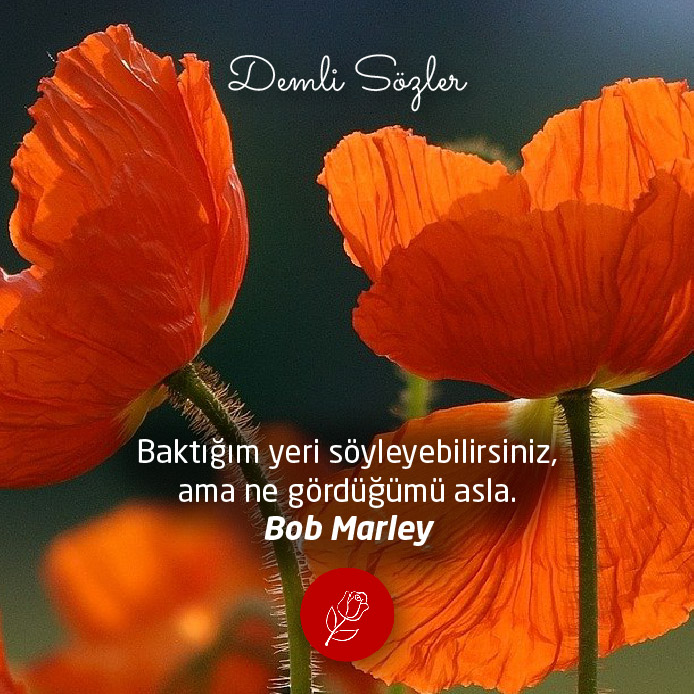 Baktığım yeri söyleyebilirsiniz, ama ne gördüğümü asla.