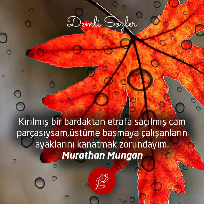 Kırılmış bir bardaktan etrafa saçılmış cam parçasıysam,üstüme basmaya çalışanların ayaklarını kanatmak zorundayım.