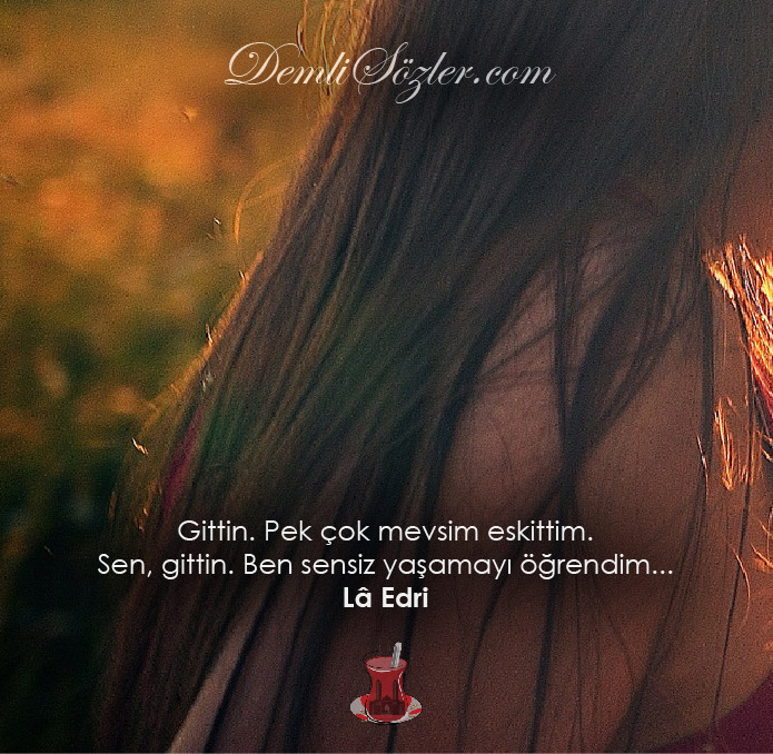 Gittin. Pek çok mevsim eskittim. Sen, gittin. Ben sensiz yaşamayı öğrendim..
