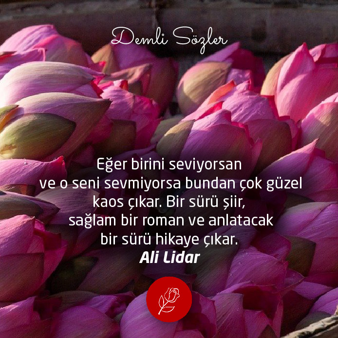 Eğer birini seviyorsan ve o seni sevmiyorsa bundan çok güzel kaos çıkar. Bir sürü şiir, sağlam bir roman ve anlatacak bir sürü hikaye çıkar.