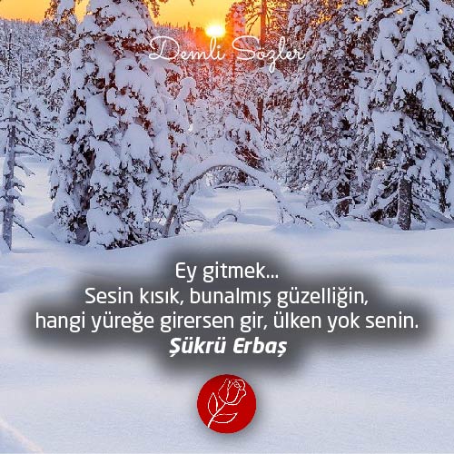 Ey gitmek... Sesin kısık, bunalmış güzelliğin, hangi yüreğe girersen gir, ülken yok senin.