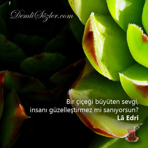 Bir çiçeği büyüten sevgi, insanı güzelleştirmez mi sanıyorsun?