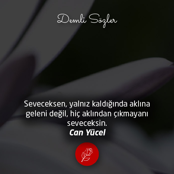 Seveceksen, yalnız kaldığında aklına geleni değil, hiç aklından çıkmayanı seveceksin.