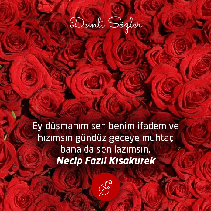 Ey düşmanım sen benim ifadem ve hızımsın gündüz geceye muhtaç bana da sen lazımsın.