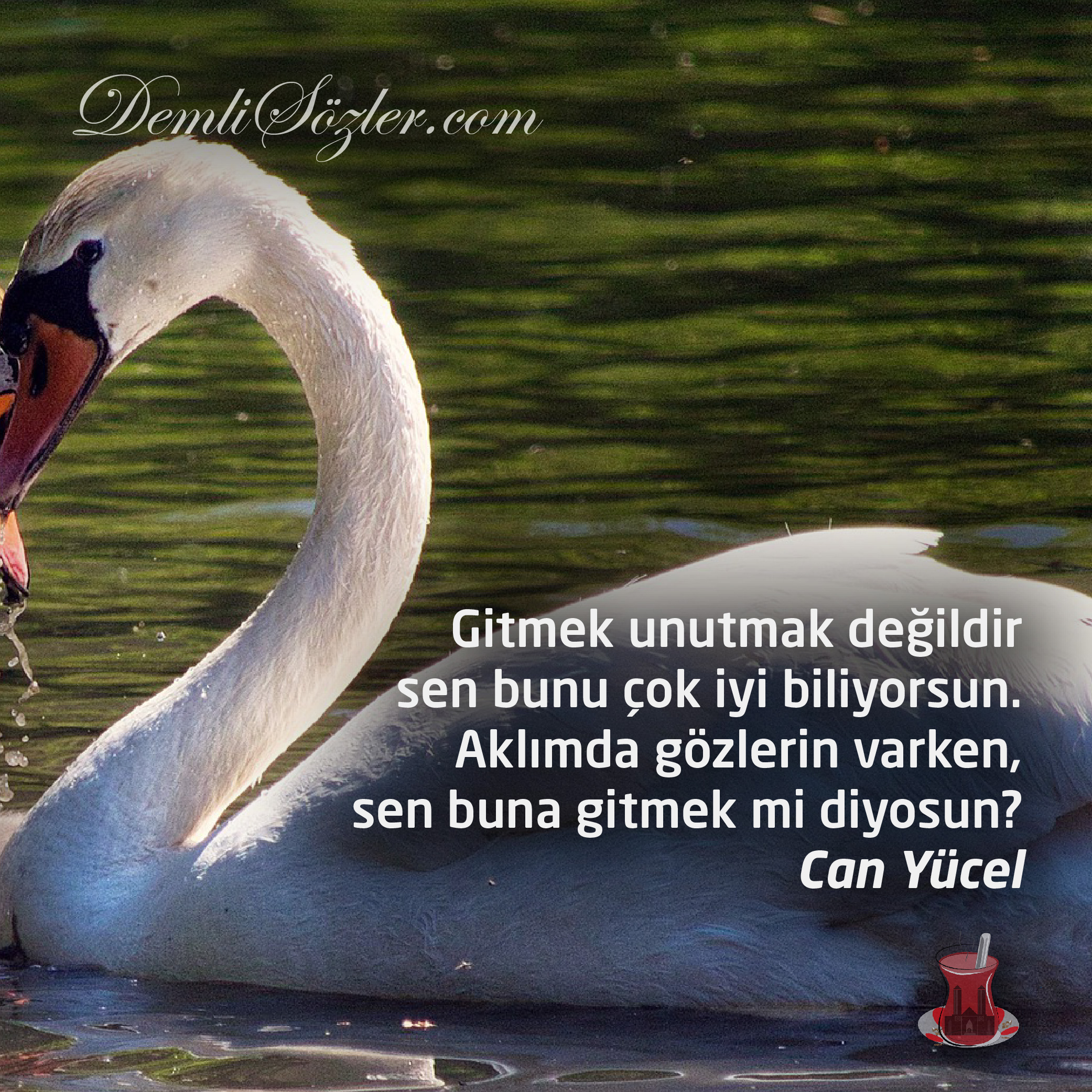 Gitmek unutmak değildir sen bunu çok iyi biliyorsun. Aklımda gözlerin varken, sen buna gitmek mi diyosun?