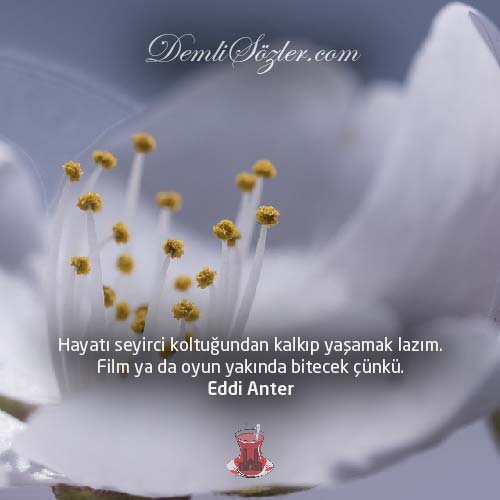 Hayatı seyirci koltuğundan kalkıp yaşamak lazım. Film ya da oyun yakında bitecek çünkü.