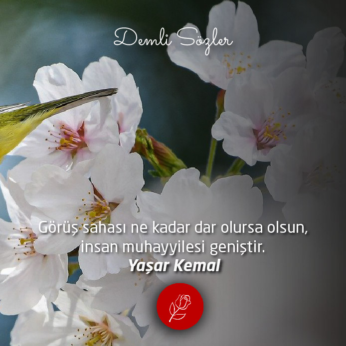 Görüş sahası ne kadar dar olursa olsun, insan muhayyilesi geniştir.