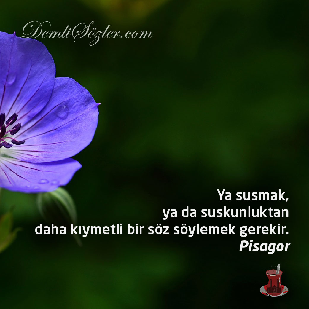 Ya susmak, ya da suskunluktan daha kıymetli bir söz söylemek gerekir.