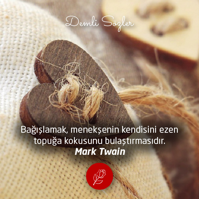 
Bağışlamak, menekşenin kendisini ezen topuğa kokusunu bulaştırmasıdır. - Mark Twain