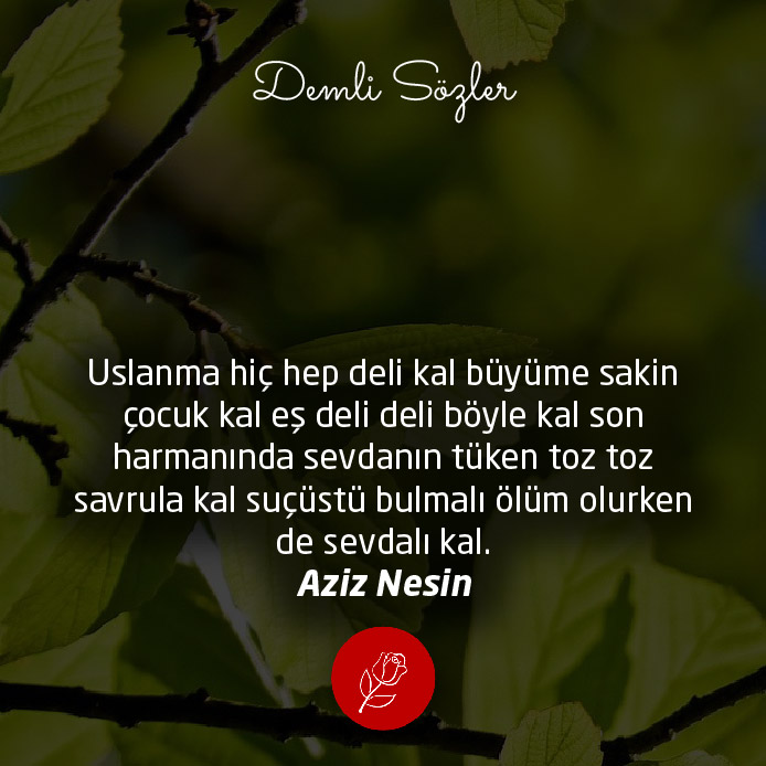Uslanma hiç hep deli kal büyüme sakin çocuk kal eş deli deli böyle kal son harmanında sevdanın tüken toz toz savrula kal suçüstü bulmalı ölüm olurken de sevdalı kal.
