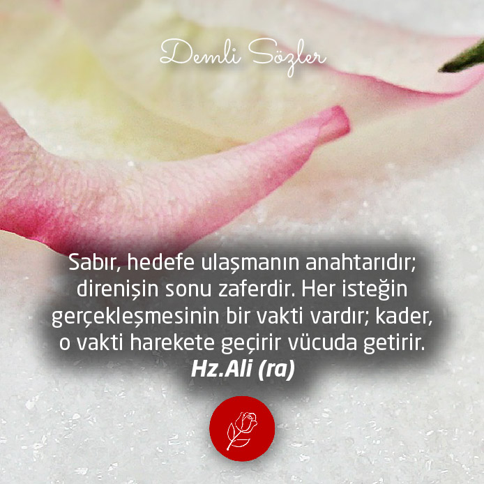 Sabır, hedefe ulaşmanın anahtarıdır; direnişin sonu zaferdir. Her isteğin gerçekleşmesinin bir vakti vardır; kader, o vakti harekete geçirir vücuda getirir.