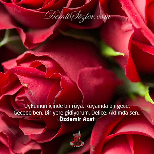 Uykumun içinde bir rüya, Rüyamda bir gece, Gecede ben, Bir yere gidiyorum, Delice. Aklımda sen..