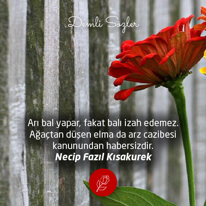 Arı bal yapar, fakat balı izah edemez. Ağaçtan düşen elma da arz cazibesi kanunundan habersizdir.
