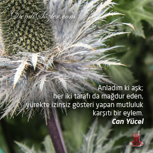 Anladım ki aşk; her iki tarafı da mağdur eden, yürekte izinsiz gösteri yapan mutluluk karşıtı bir eylem.