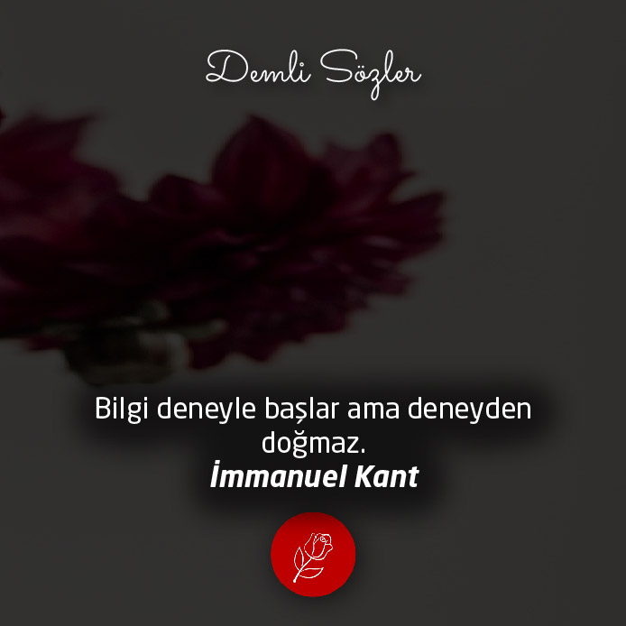 Bilgi deneyle başlar ama deneyden doğmaz.