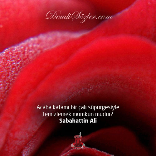 Acaba kafamı bir çalı süpürgesiyle temizlemek mümkün müdür?