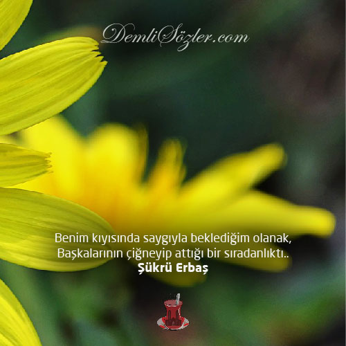 Benim kıyısında saygıyla beklediğim olanak, başkalarının çiğneyip attığı bir sıradanlıktı..