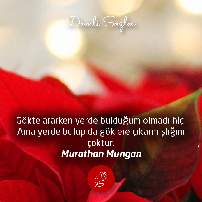 Gökte ararken yerde bulduğum olmadı hiç. Ama yerde bulup da göklere çıkarmışlığım çoktur.