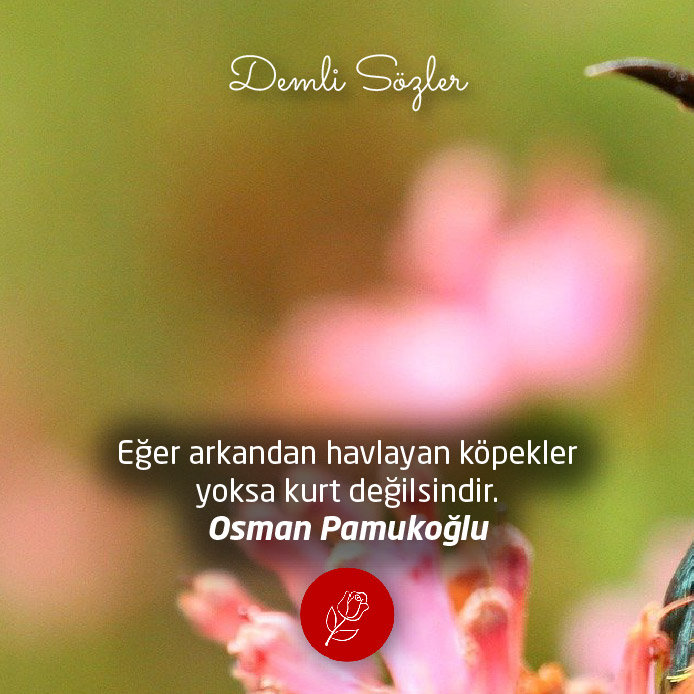 Eğer arkandan havlayan köpekler yoksa kurt değilsindir.