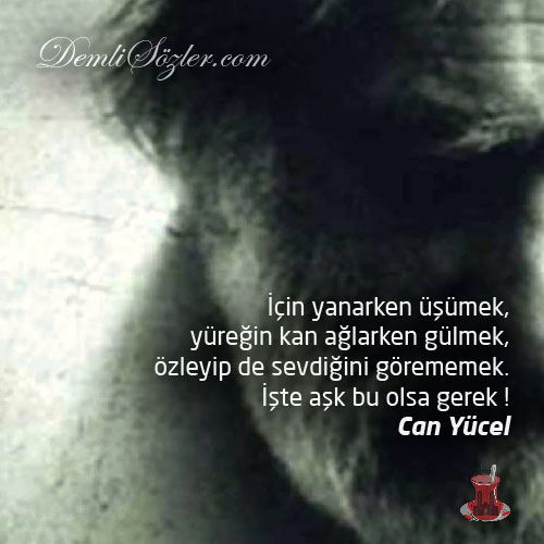İçin yanarken üşümek, yüreğin kan ağlarken gülmek, özleyip de sevdiğini görememek. İşte aşk bu olsa gerek !