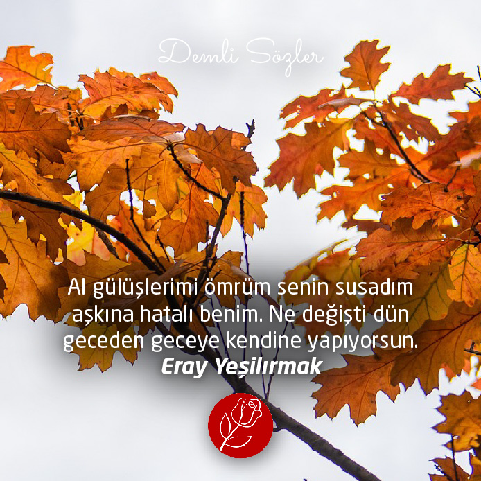 Al gülüşlerimi ömrüm senin susadım aşkına hatalı benim. Ne değişti dün geceden geceye kendine yapıyorsun.
