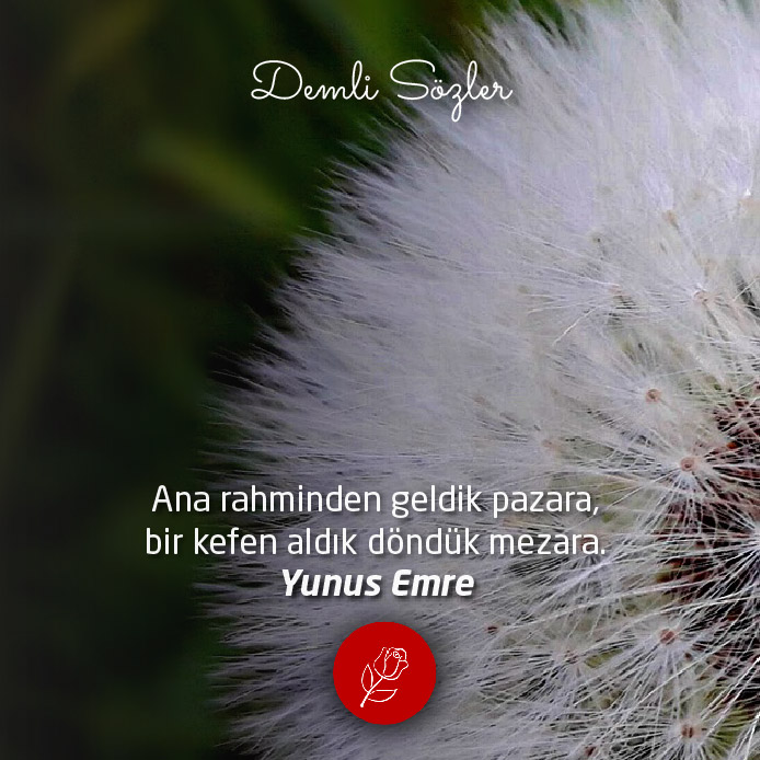 Ana rahminden geldik pazara, bir kefen aldık döndük mezara.