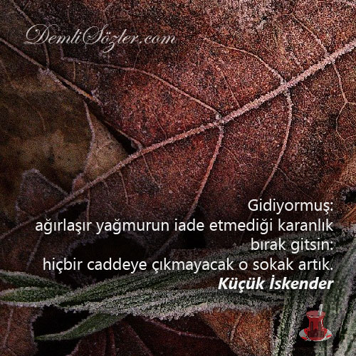 Gidiyormuş: ağırlaşır yağmurun iade etmediği karanlık bırak gitsin: hiçbir caddeye çıkmayacak o sokak artık.
